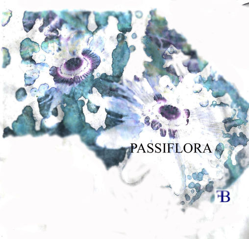 "Passiflora" - Nel libro "PASSIO" acquerello elabo...