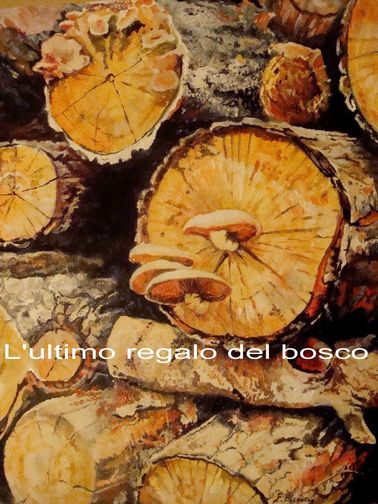 L'ultimo regalo del bosco (olio su tela)